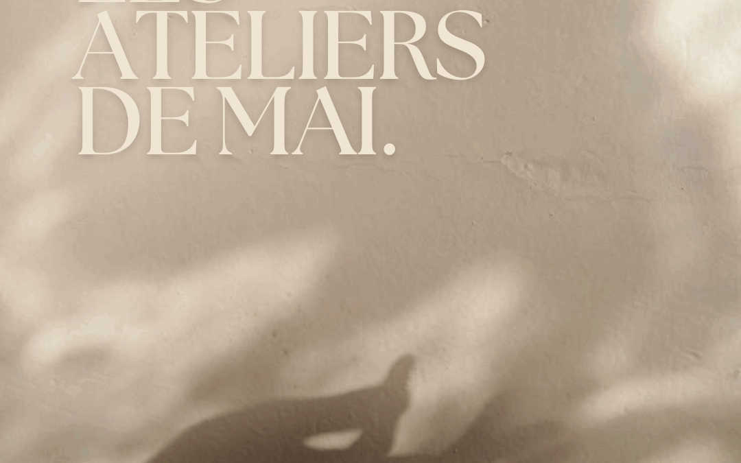 Les ateliers du mois