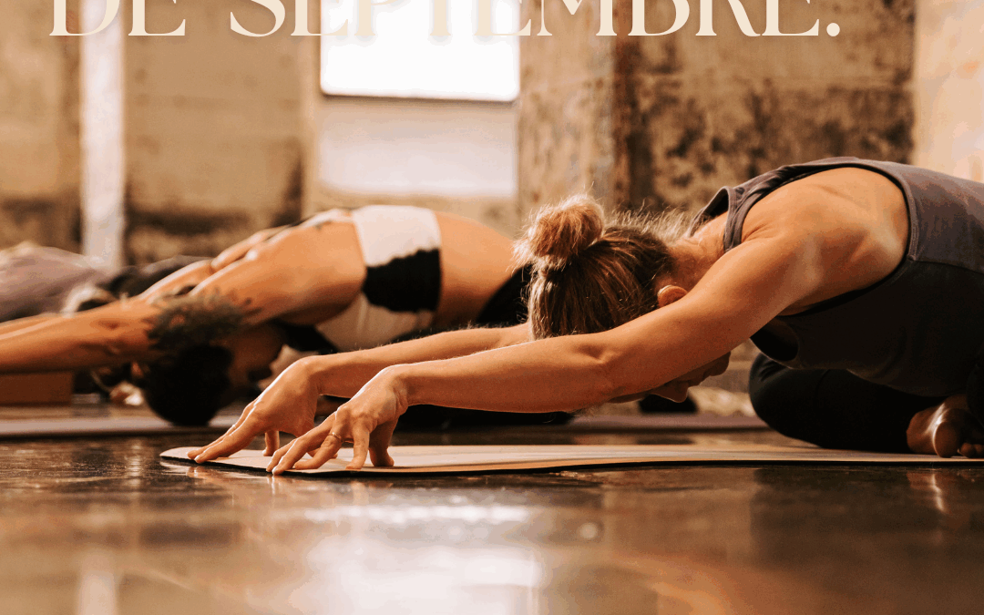 Les ateliers du mois