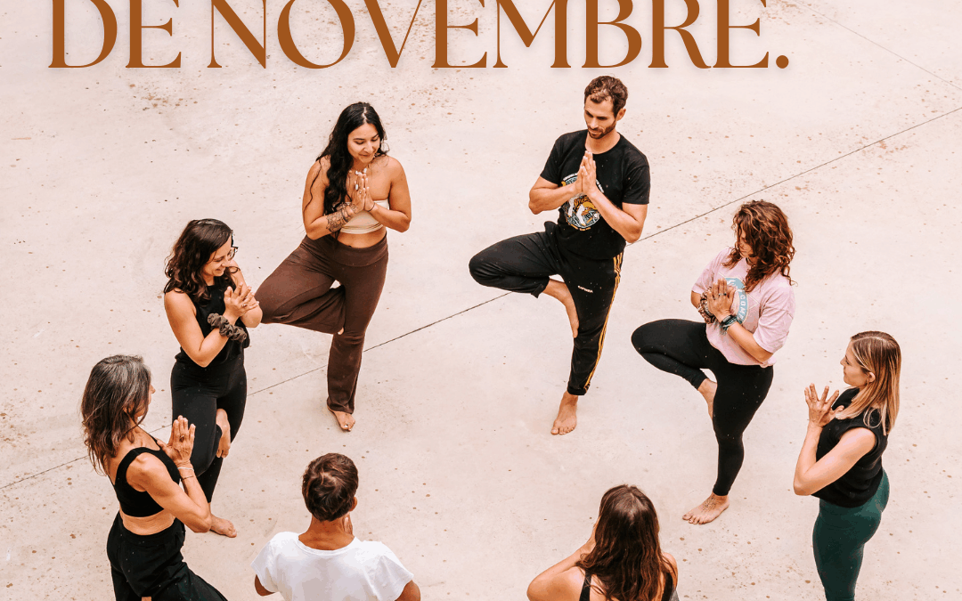 Les ateliers du mois