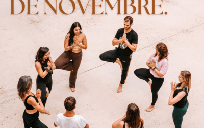 Les ateliers du mois